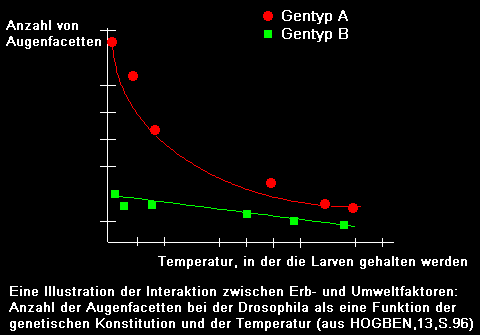 Interaktion: Anlage - Unmwelt