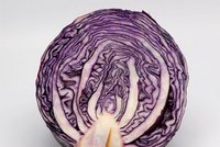 Halbierter Rotkohl