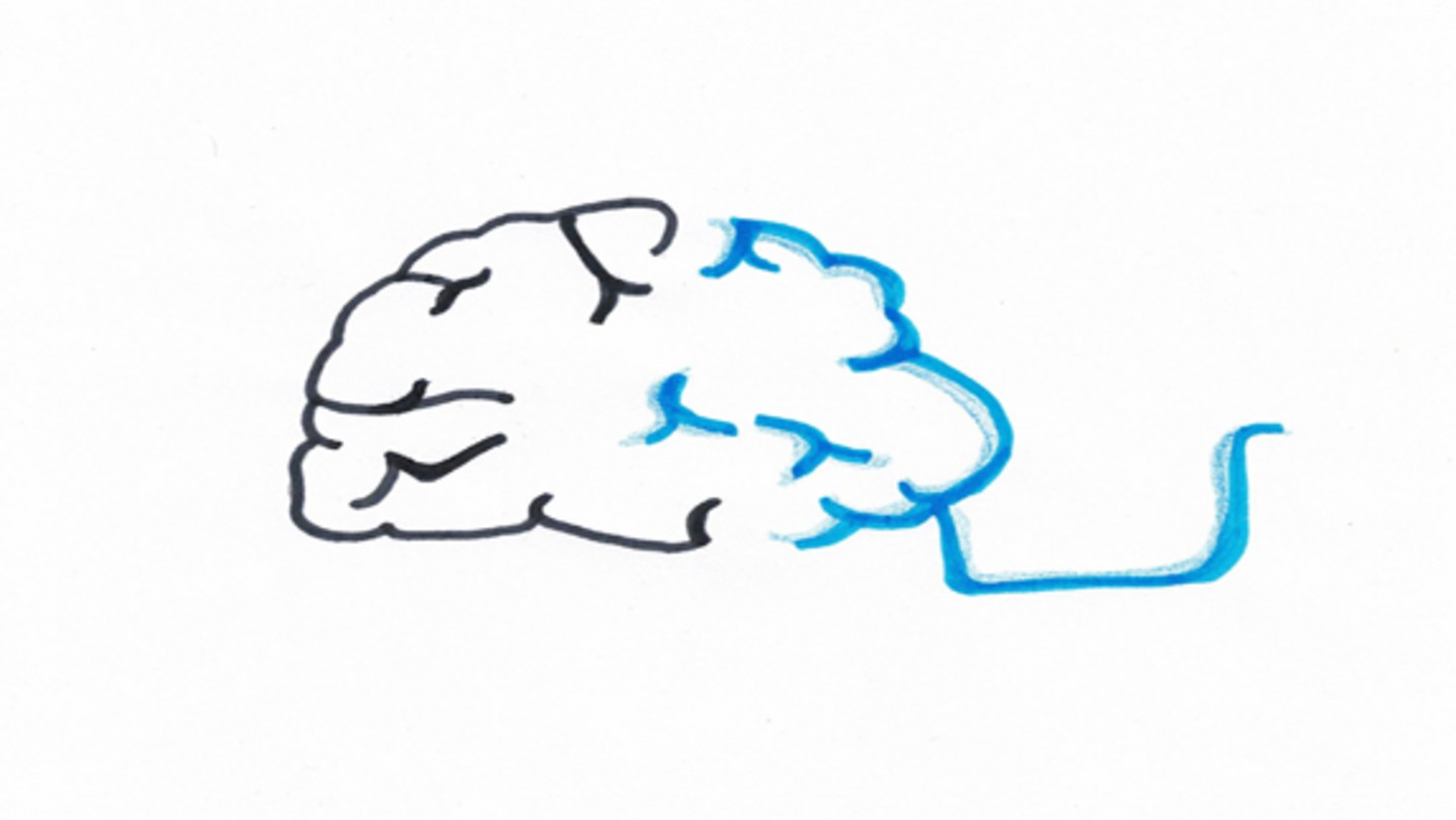 Zeichnung des BrainDrops-Logos