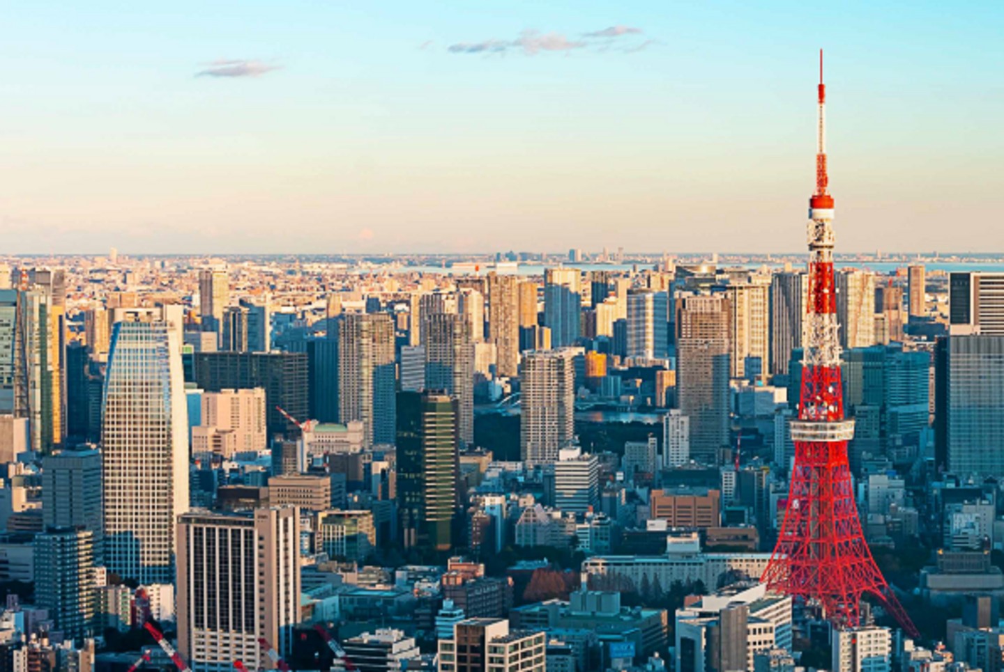 Deutsch-Japanische Wissenschafts&shy;koopera&shy;tionen am Rhein